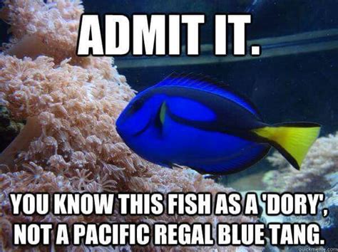 Pin By Corey Schmidt On Animal Memes Dory Life Under The Sea Fish