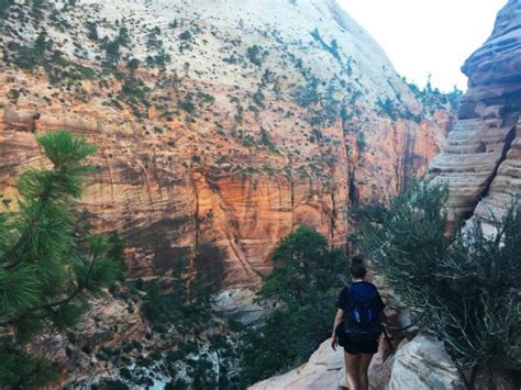 A Beginners Guide To Hiking Zion National Park