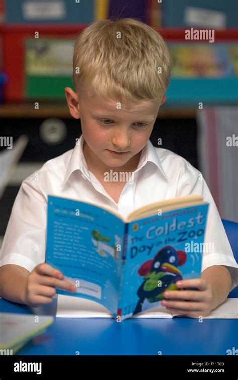 Primary School Pupil Reading In Classroom Uk Stock Photo Alamy