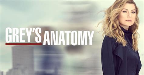 About Greys Anatomy Tv Show Series