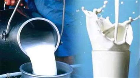 Milk Adulteration Test अब आसानी से कर सकेंगे दूध में मिलावट की जांच