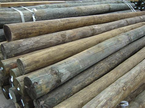 Using Pressure Treated Pilings: Wood All 'Round | MyFixitUpLife