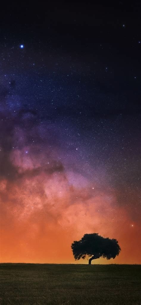 1125x2436 Resolution Starry Sky In Open Field Iphone Xsiphone 10