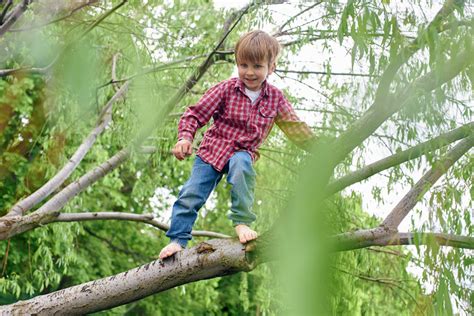 Science Explains Risky Outdoor Play Is Good Four Kids Health Love And