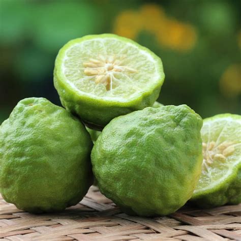 Bergamot Essential Oil Optinghealth