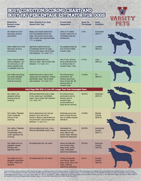Introducing The Varsity Pets Canine Body Condition Scoring Chart The
