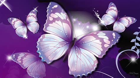 Free Download 73 Butterfly Wallpapers On Wallpaperplay 1920x1080 For