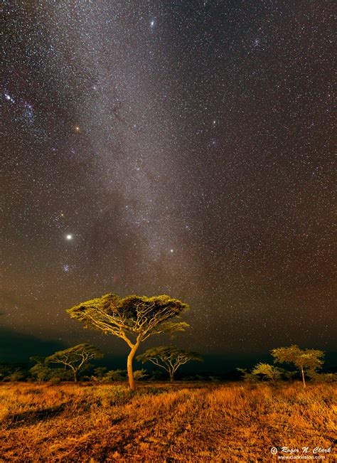 Clarkvision Photograph The Milky Way Galaxy Over The Serengeti