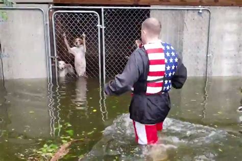 Hurricane Florence Rescues Six Dogs Trapped In Leland North Carolina Saved