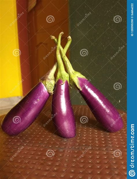 Vegetable Brinjal Stock Photo Image Of Diet Eggplant 128395290