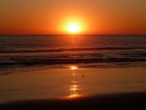 Sundance Management & Booking Agency | Thornton CO