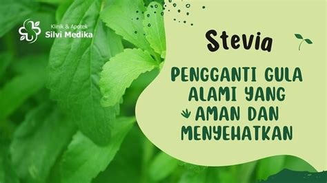 Mengenal Stevia Tanaman Pengganti Gula Tanesia Id
