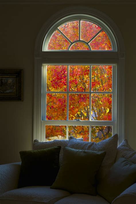 Fall Leaves Viewed From The Living Room Windows Autumn Home Through