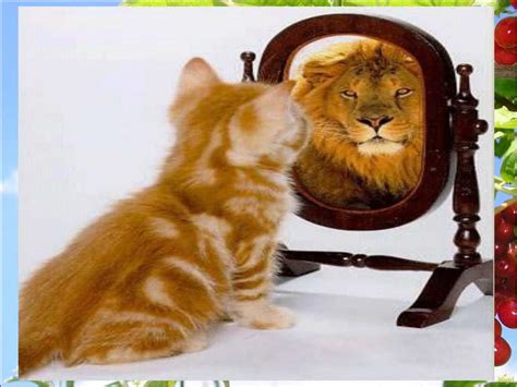 Ліна костенко (народилася 1930 року) ліна костенко народилася на київщині. Морфологічні ознаки прикметника - презентація з української мови