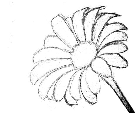 Reference Photos For How To Paint A Daisy Flower In Acrylic Full