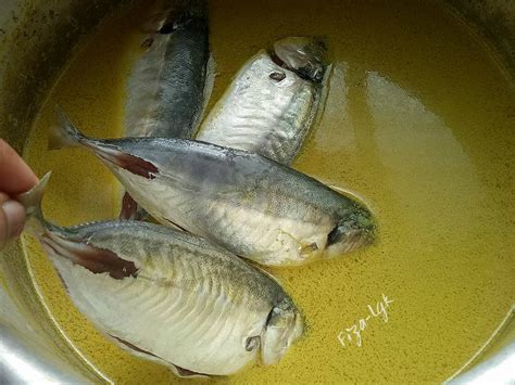 Biasanya apabila kita memasak ikan lemak kuning yang dimasak, kita akan gunakan sehingga mendidih hanya. IKAN SELAR MASAK LEMAK CILI KAMPUNG | Fiza's Cooking