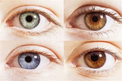 What Is The Rarest Eye Colour In The World Bbc Science Focus Magazine
