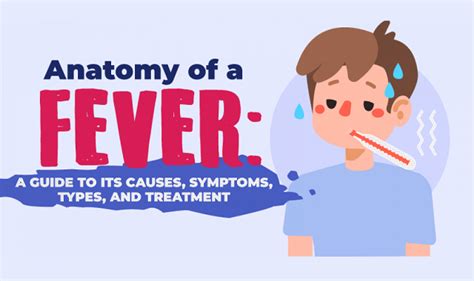 Fever Symptoms Causes And Treatment Infographic Visualistan