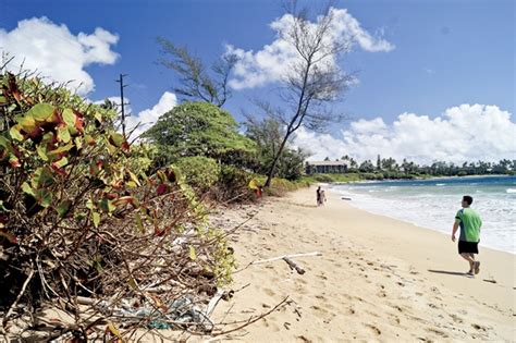 People See The Changing Face Of Wailua Beach The Garden Island