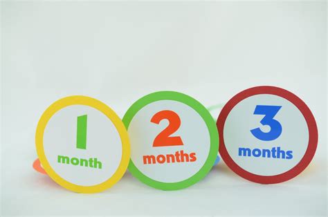 12 Month Photo Banner First Year Photo Banner First Year Etsy