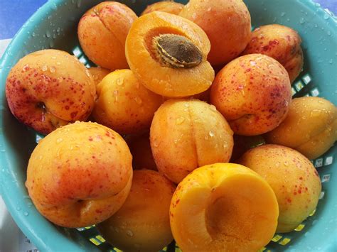Free Images Orange Food Produce Apricot Peach Fruit Tree Fruits