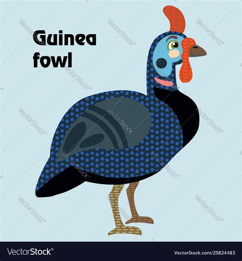 Cartoon Guinea Fowl Royalty Free Vector Image Vectorstock