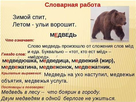 Похудеть проверочное слово