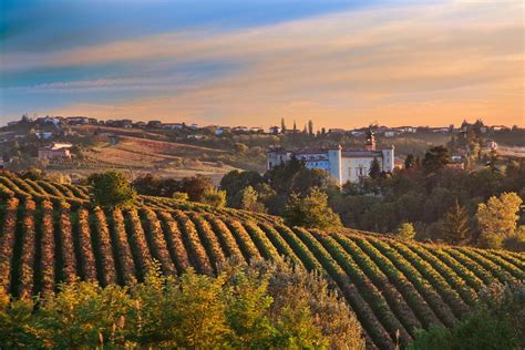 5 Interest Facts About Piedmont Region in Italy • Alba Wine Tour