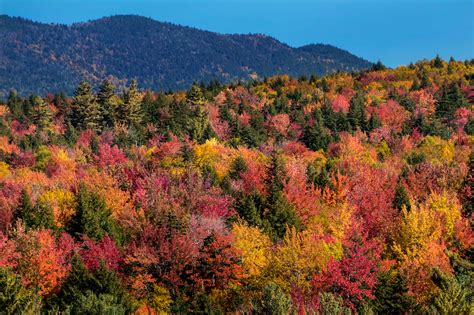 Maybe you would like to learn more about one of these? How to See New England Fall Foliage at Its Peak