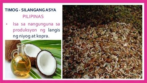 Mga Likas Yaman Ng Timog Silangang Asya