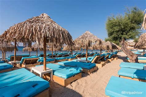 Paradise Beach Resort Au71 2022 Prices And Reviews Greece Photos