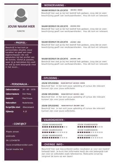 Professional cv templates for any situation. Voorbeeld CV templates & sjablonen in Word format ...