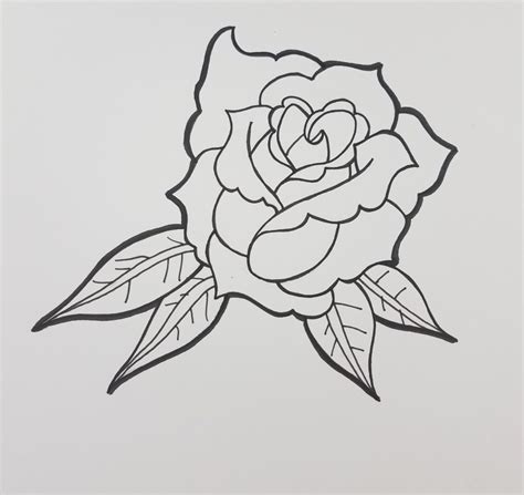 Rose Drawing For Beginners Psaweslick