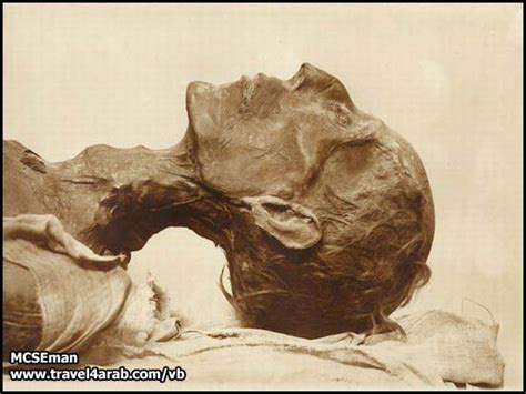 Check spelling or type a new query. صور نادرة جدا لجثة فرعون موسى عليه السلام | مدونة العقل الحر