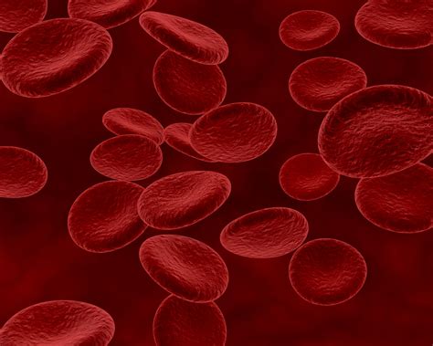 Blood Cell Disorders Symptoms Types And Causes Healspoc Healthcare
