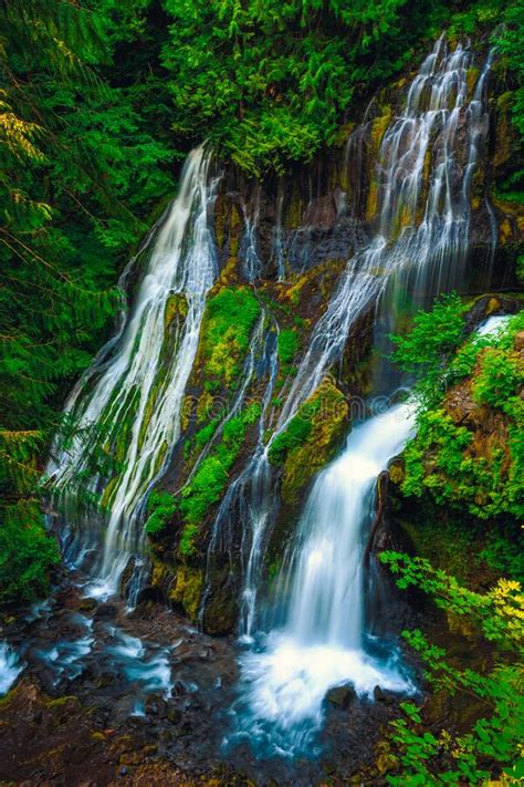 Panther Creek Falls Ford Pinchot National Forest Wasington Stock