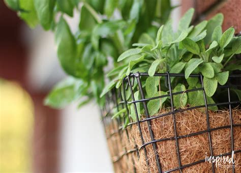 Vertical Herb Garden Super Simple And Easy Diy Project