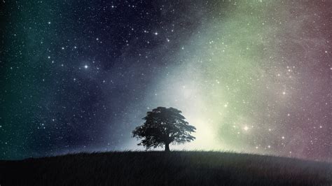 Hintergrundbilder Bäume Bunt Digitale Kunst Nacht Galaxis Natur