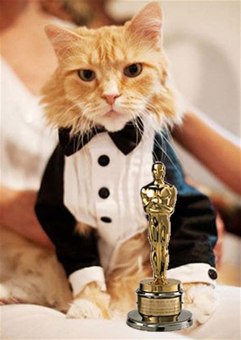 The Oscar For Best Cat Actor Cator Goes To I Have Cat