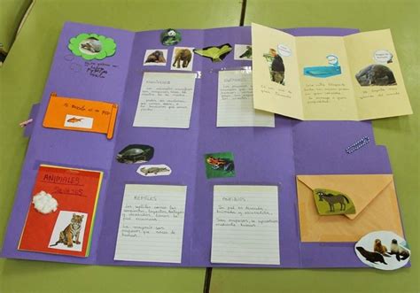 Como son una representación visual de relaciones y conexiones entre una idea general y atributos más específicos, son súper útiles para demostrar la comprensión de un tema. Lapbook sobre los animales | Proyectos de animales ...