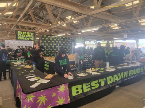 Pennsylvania Cannabis Festival Draws Great Crowd At 2021 Event