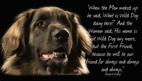 Quotes About Being Best Friends Dogs. QuotesGram