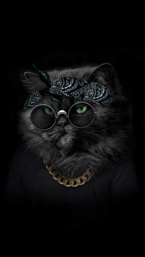 Thug Life Cat Picture Frikilo Quesea
