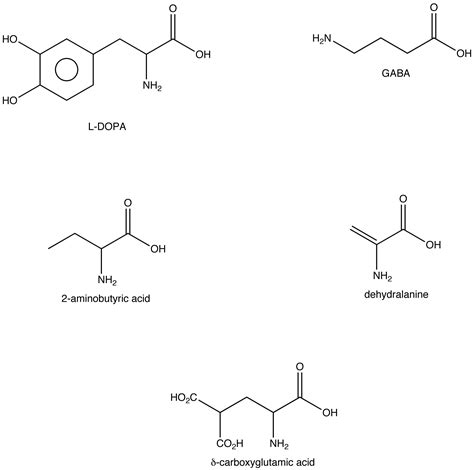 Nonstandard Amino Acid Chemistry Libretexts