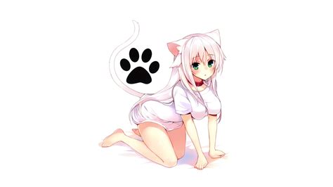 Cat Girl Anime Girls Nekomimi Wallpapers Hd Desktop