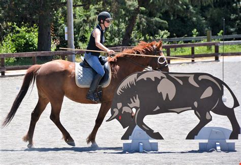 Working Equitation Bull Ring Equitation Western Riding Therapeutic
