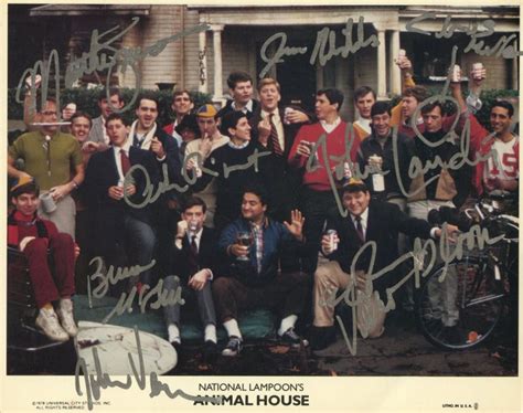 Bruce Mcgill Animal House Cast The Best Animal Wallpapers