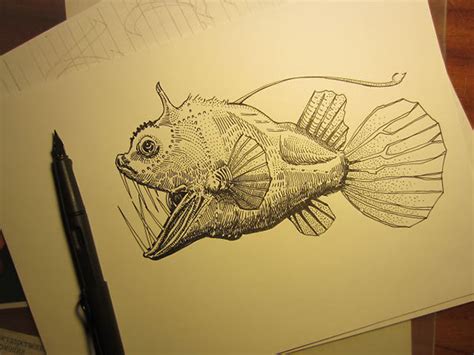The football fish, is an uncommon winter fish. Himantolophus paucifilosus - Football fish on Behance
