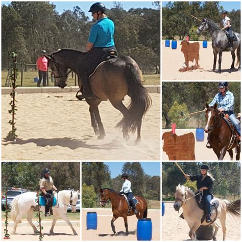 Southern Districts Working Equitation Club Join Up Day Cavalletti