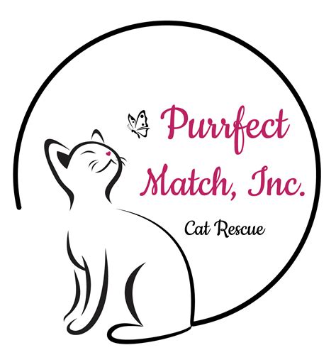 Pets for Adoption at Purrfect Match, in Sarasota, FL | Petfinder